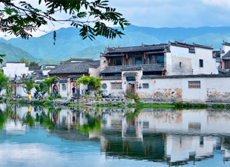 金年会·jinnian(中国区)官方网站