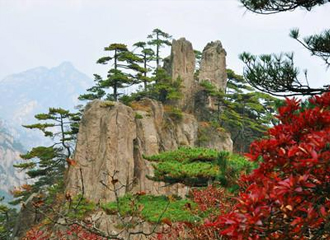 金年会·jinnian(中国区)官方网站