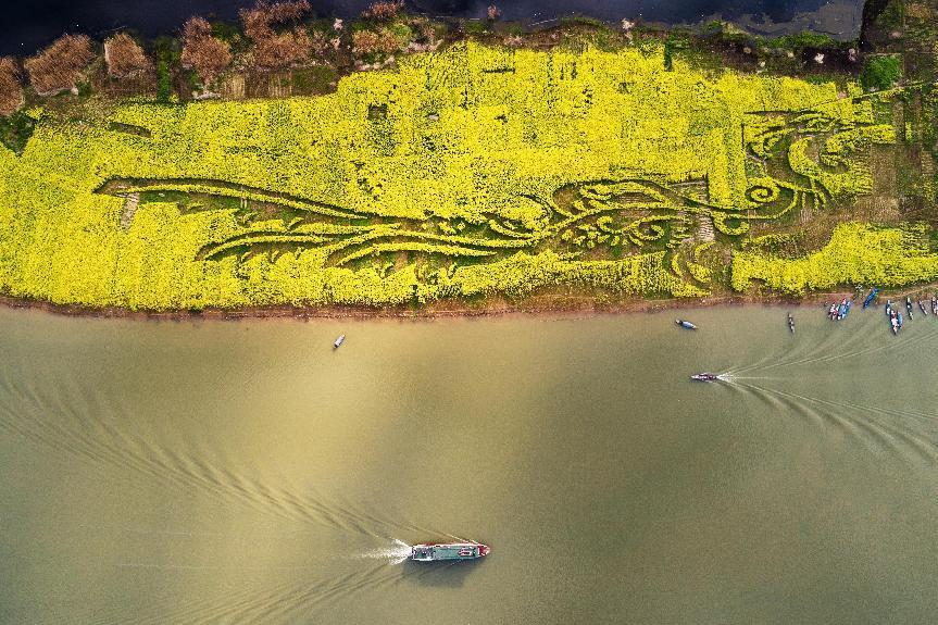 金年会·jinnian(中国区)官方网站