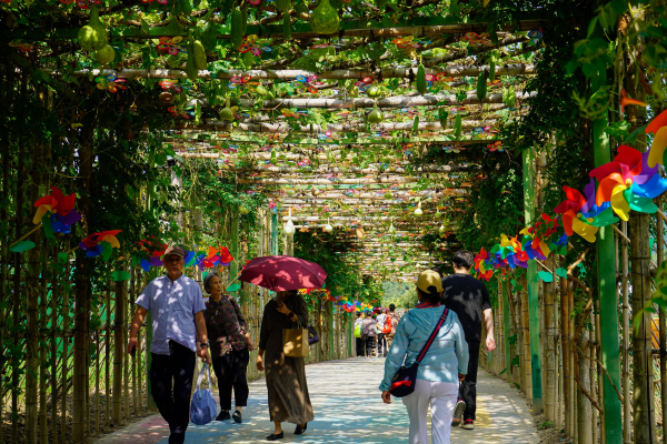 金年会·jinnian(中国区)官方网站